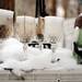 A resident's possessions are filled with snow as they are left to the elements at Camp Take Notice on Tuesday. Melanie Maxwell I AnnArbor.com